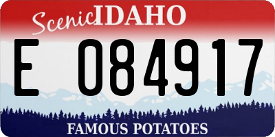 ID license plate E084917