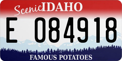 ID license plate E084918