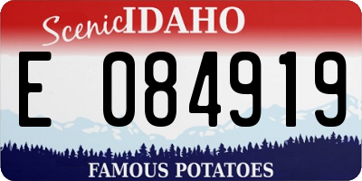 ID license plate E084919