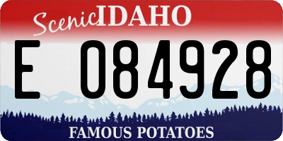 ID license plate E084928