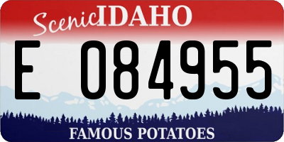 ID license plate E084955