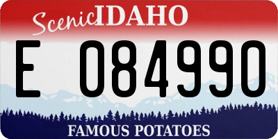 ID license plate E084990