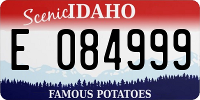 ID license plate E084999