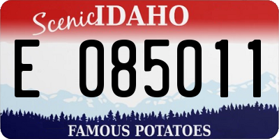ID license plate E085011