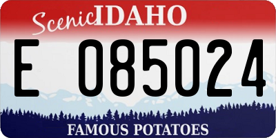 ID license plate E085024