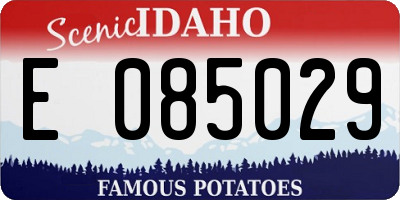 ID license plate E085029