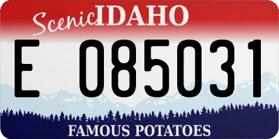 ID license plate E085031