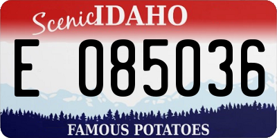 ID license plate E085036