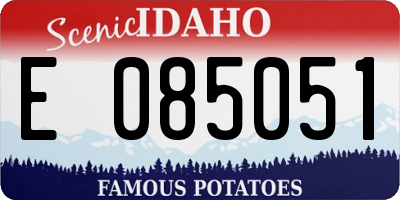 ID license plate E085051