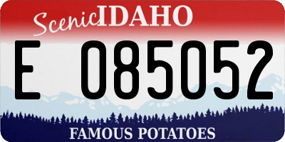 ID license plate E085052