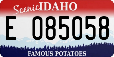 ID license plate E085058