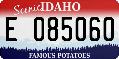 ID license plate E085060