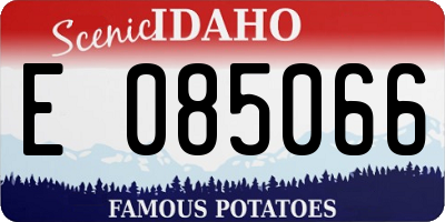 ID license plate E085066