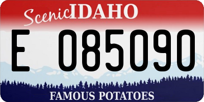 ID license plate E085090