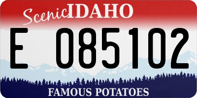 ID license plate E085102