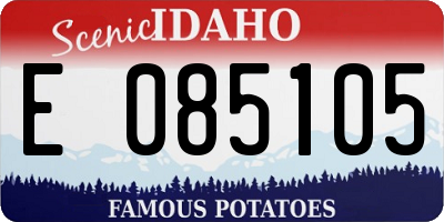 ID license plate E085105