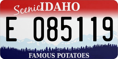 ID license plate E085119