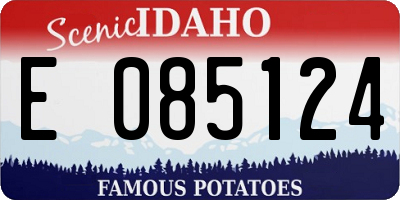 ID license plate E085124