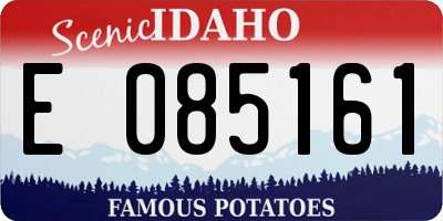 ID license plate E085161