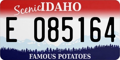 ID license plate E085164
