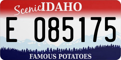 ID license plate E085175