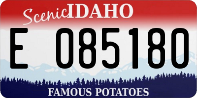 ID license plate E085180