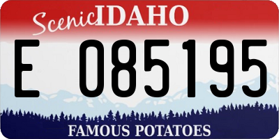 ID license plate E085195