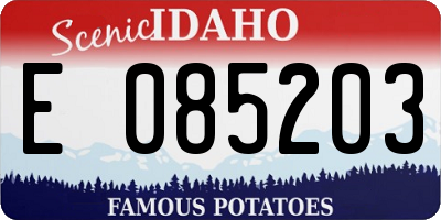 ID license plate E085203