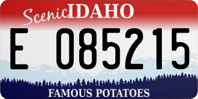 ID license plate E085215