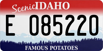ID license plate E085220