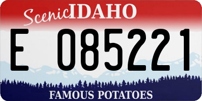 ID license plate E085221