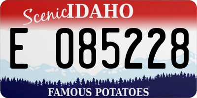 ID license plate E085228