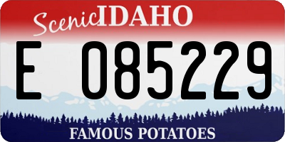 ID license plate E085229