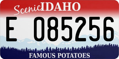 ID license plate E085256