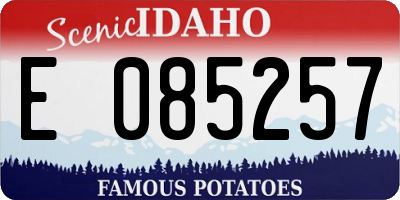ID license plate E085257