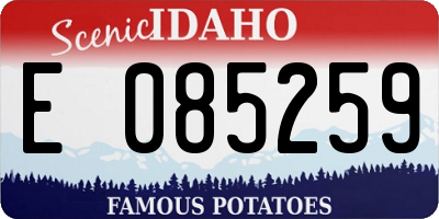 ID license plate E085259