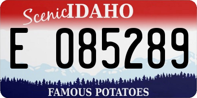 ID license plate E085289