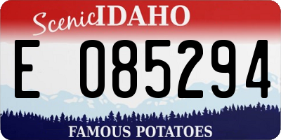 ID license plate E085294
