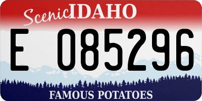 ID license plate E085296