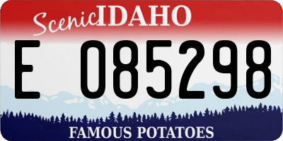 ID license plate E085298