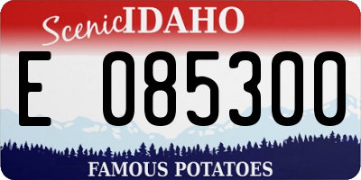 ID license plate E085300