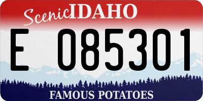 ID license plate E085301