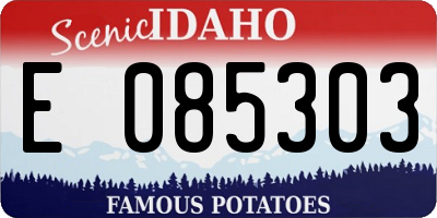 ID license plate E085303
