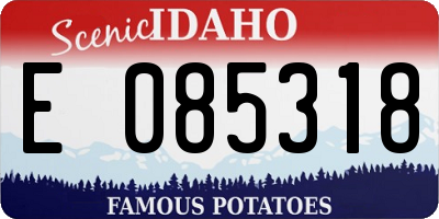 ID license plate E085318