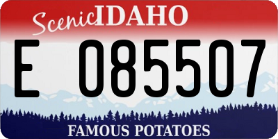 ID license plate E085507