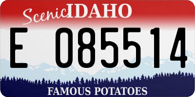 ID license plate E085514