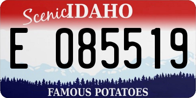ID license plate E085519