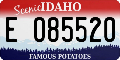 ID license plate E085520