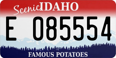 ID license plate E085554