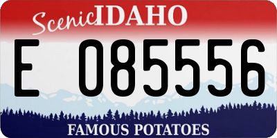 ID license plate E085556